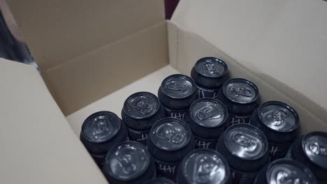 Stacked Beer Cans in a Cardboard Box