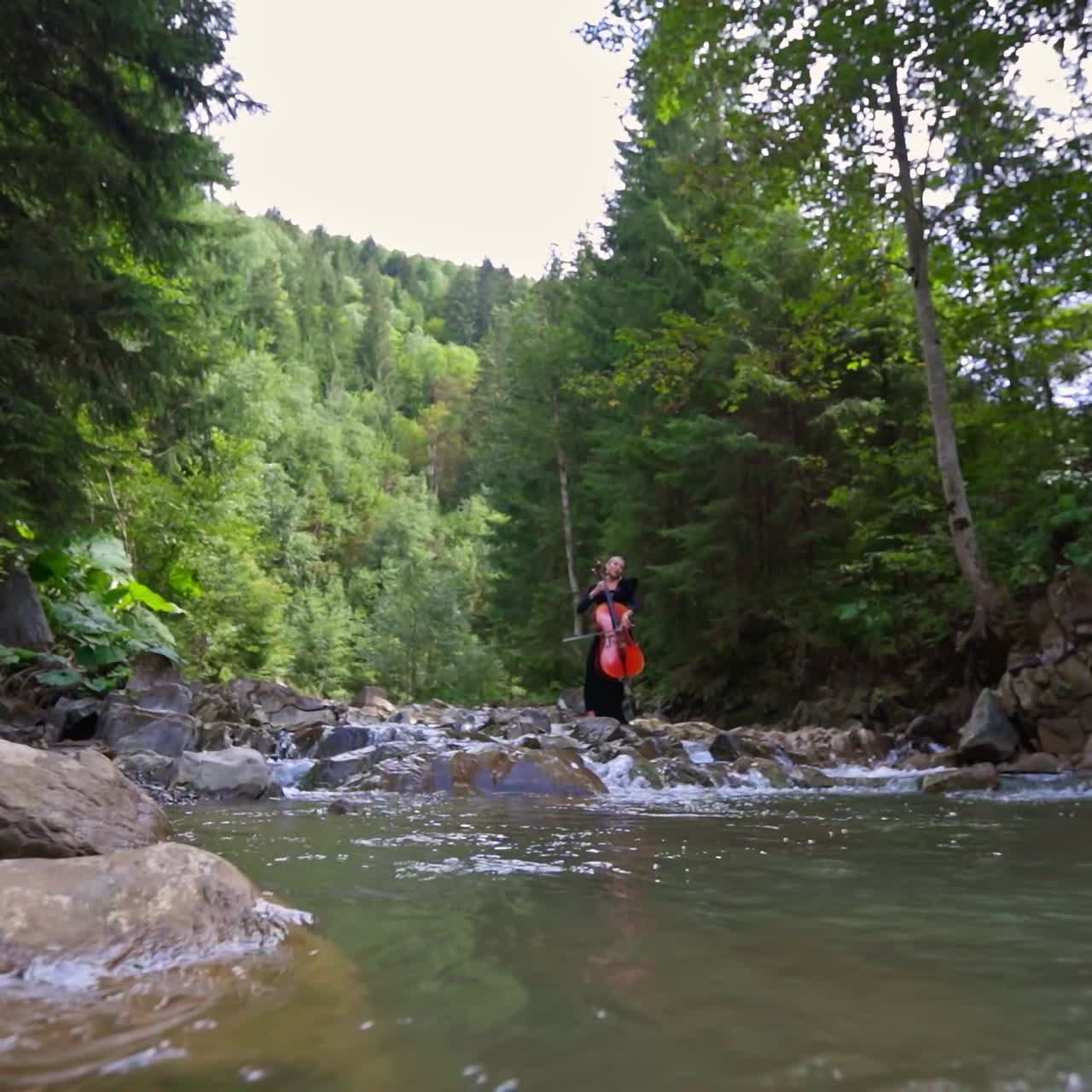 Female in dress playing on cello