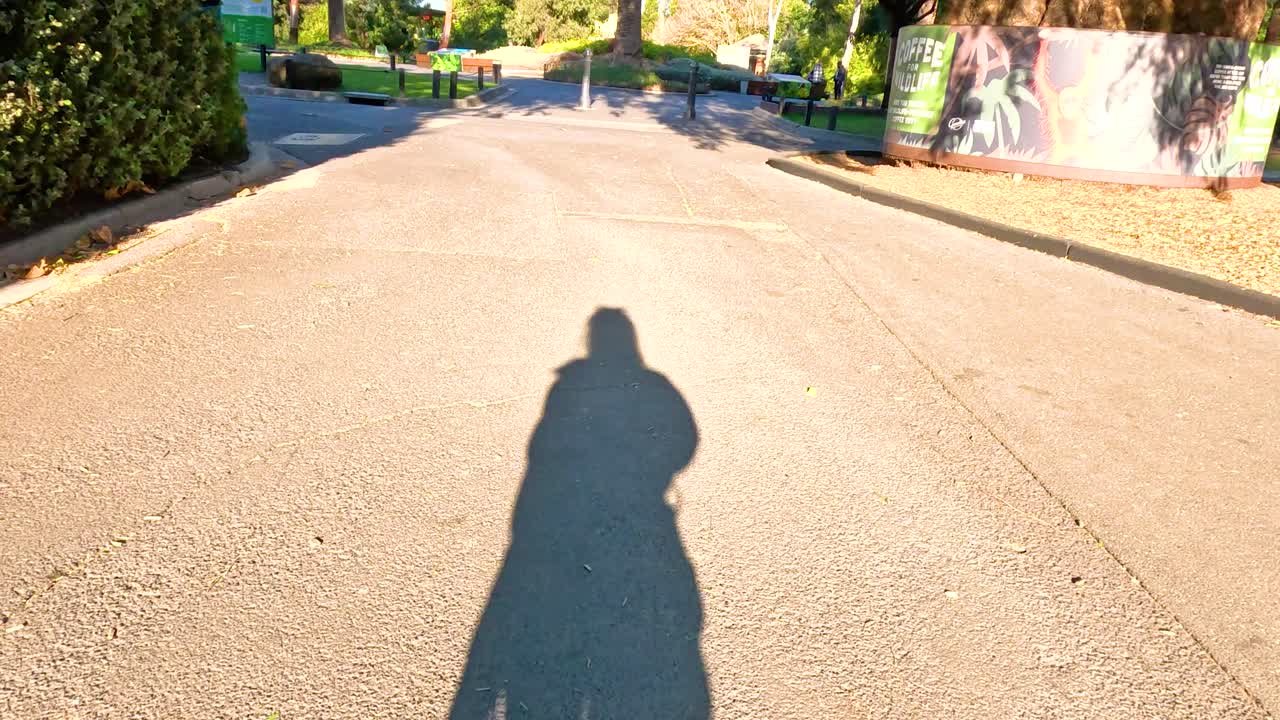 이 많은 동물원 환경에서 바에서 고 몸짓을 하는 사람의 그림자