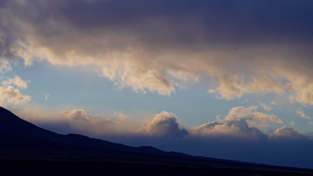 Cinematic footage of a flock of birds in the evening sky with glowing sunset colors