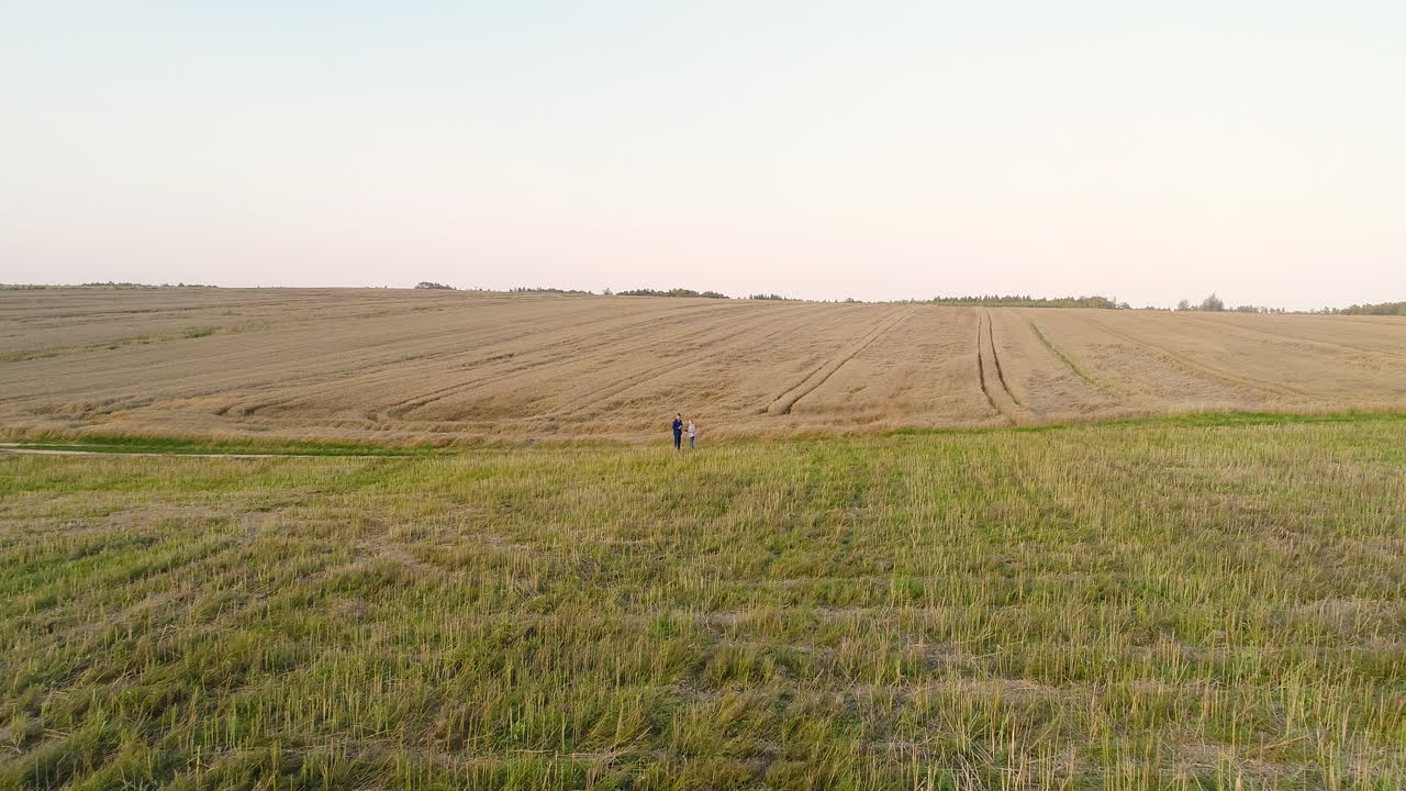 молодые фермеры обсуждают на кукурузном поле 7
