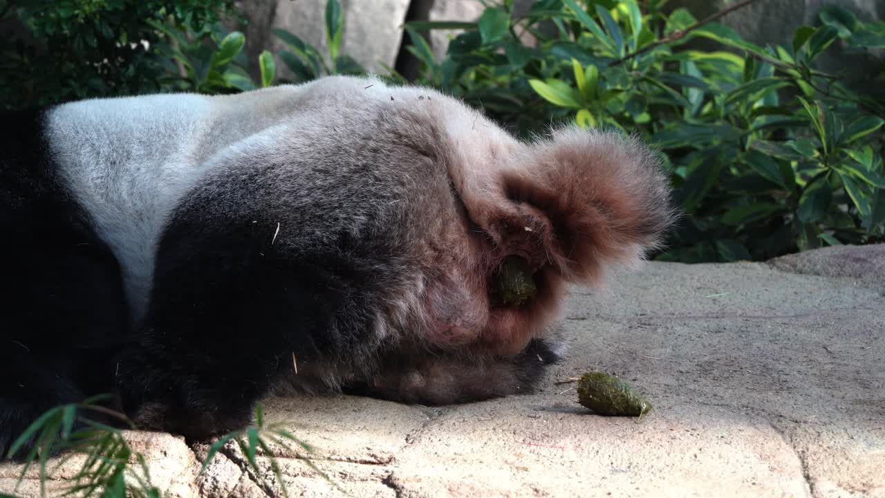 세부 동작을 캡처하는 클로즈업 샷