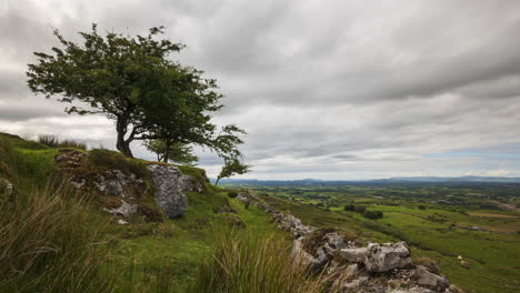 time lapse of rural and remote landscape of grass, trees and rocks during the day in hills of carrowkeel in county sligo, ireland