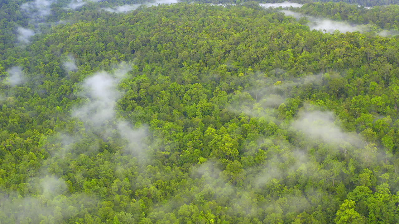 tan verde como la madre naturaleza quería