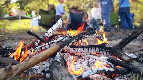 Hoguera-En-Camping.-Gente-Divirtiéndose-En-Un-Picnic.-Fogata-En-El-Campamento