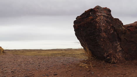 Tronco-De-Madera-Gigante-Con-Paisaje-árido-En-El-Parque-Nacional-Del-Bosque-Petrificado-En-Arizona,-Tiro-Panorámico