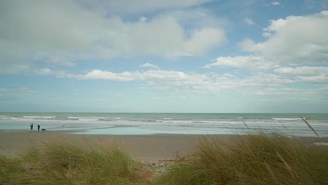 toma de mano caminando por un camino que conduce al mar con una pareja paseando a su perro en una playa en nueva zelanda