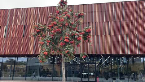 modern brick sports center with decorative fencing near gunwharf quay in portsmouth.