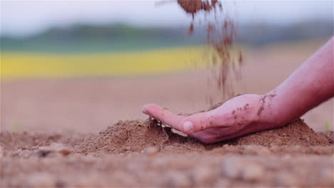 Landwirt,-Der-Organischen-Boden-In-Den-Händen-Untersucht-Landwirt,-Der-Schmutz-Im-Landwirtschaftsfeld-Berührt-7