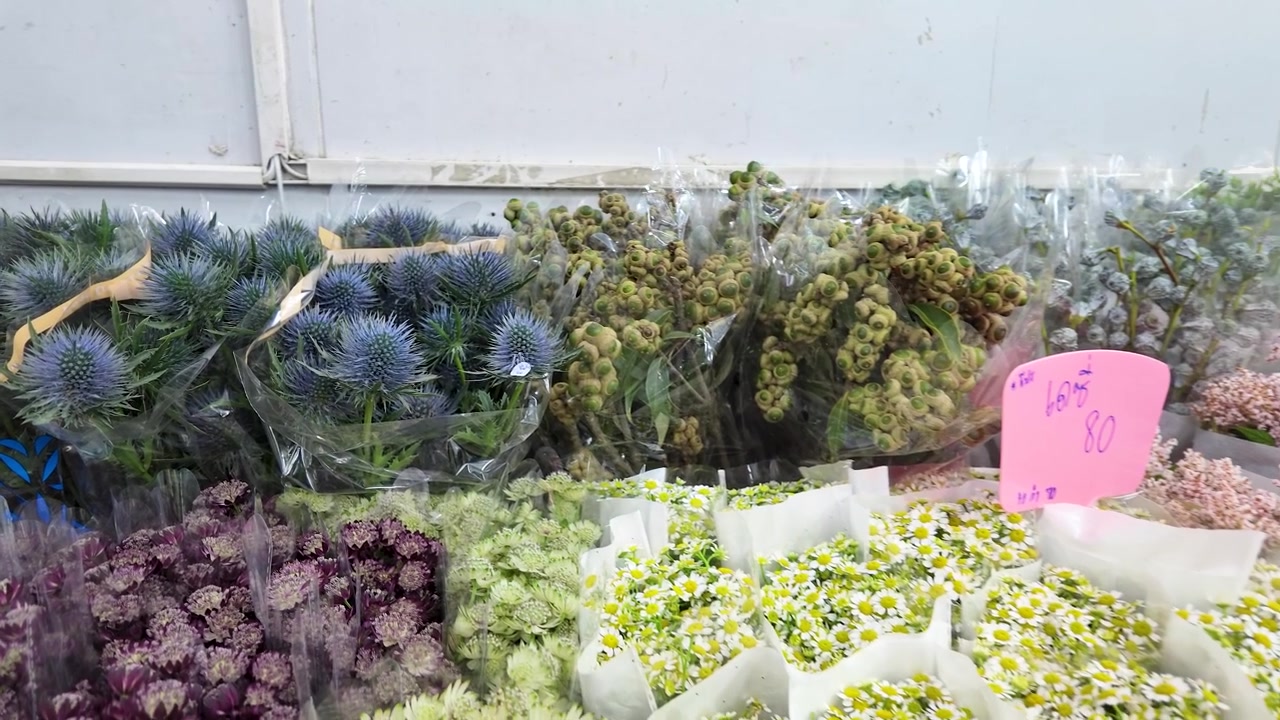Statisk mellomskudd av diverse blomsterarrangementer inkludert blå tistel og kamille i butikk