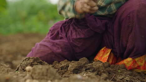 elderly woman farmer working in field