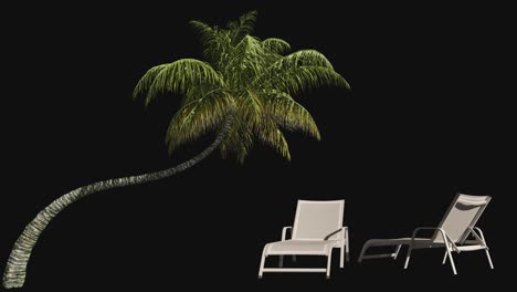 harvesting set of palm tree and beach loungers on transparent background with alpha channel.