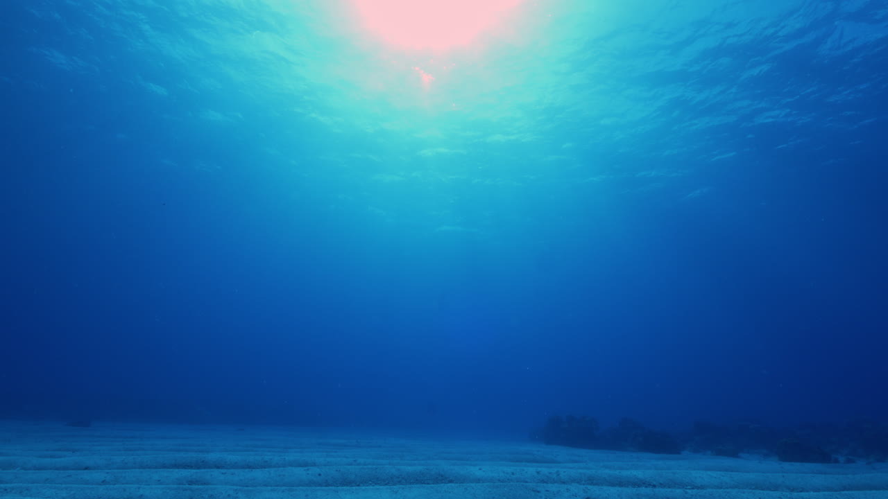 Una vista submarina impresionante del fondo marino arenoso bajo el sol tropical que irradia a través del agua.