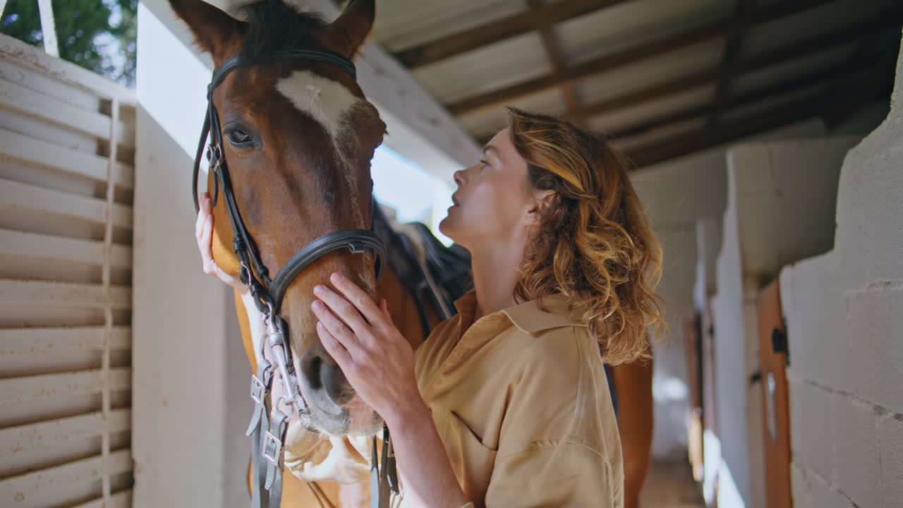 Lady equestrienne caressing horse farm paddock closeup. Woman posing camera