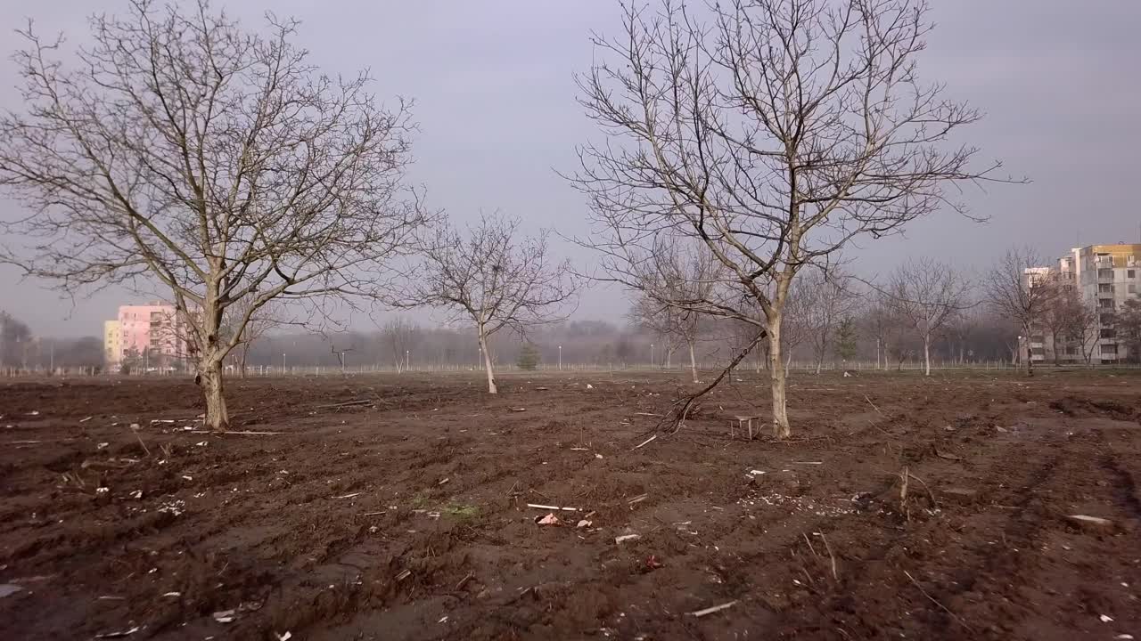 드론 주위를 날아다니는 많은 새들과 함께 동유럽의 콘크리트 생활 아파트 지역을 날고 있습니다.