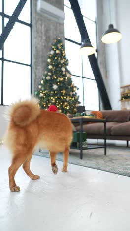 familia celebrando navidad con un perro