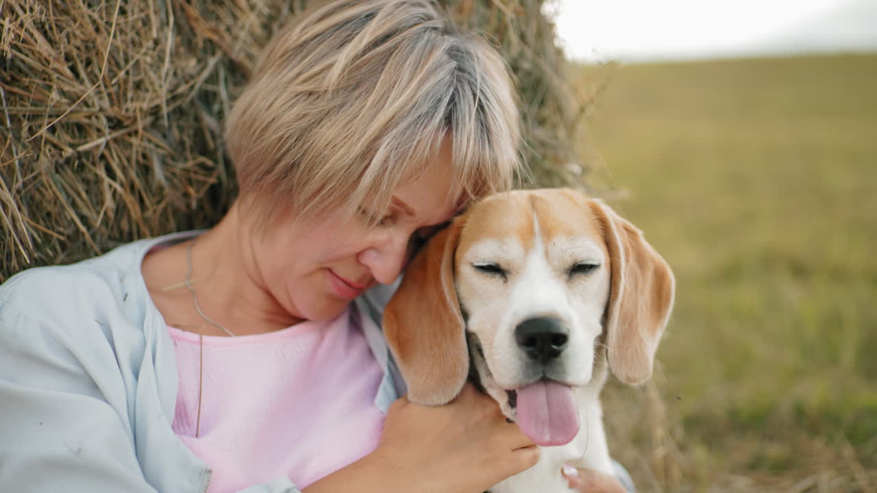 여자의 개는 그녀의 머리에 가게 붙어, 애정으로 그것을 바라보고 개는 혀를 꺼내서 초점을 맞추고, 배경에는 거대한 농경지로 둘러싸인 평화로운 시골 환경에서  어리가 보인다.