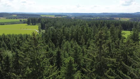 a shot of the drone flying over the treetops in a large green forest forward