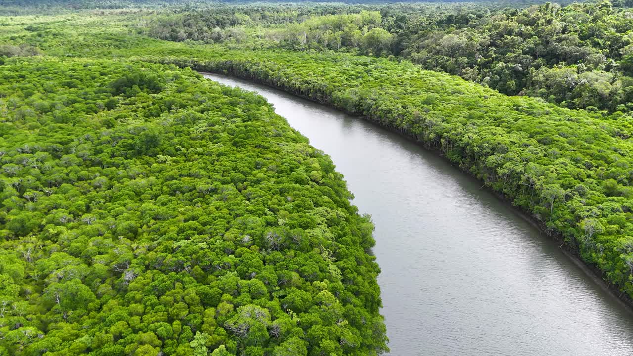 Drone glides above lush rainforest river bend, overcast daylight, wide aerial perspective, smooth movement
