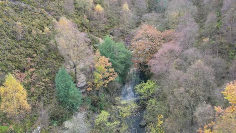 Luftdrohnenaufnahmen-Eines-Flusses,-Der-Durch-Eine-Moorlandschaft-Fließt