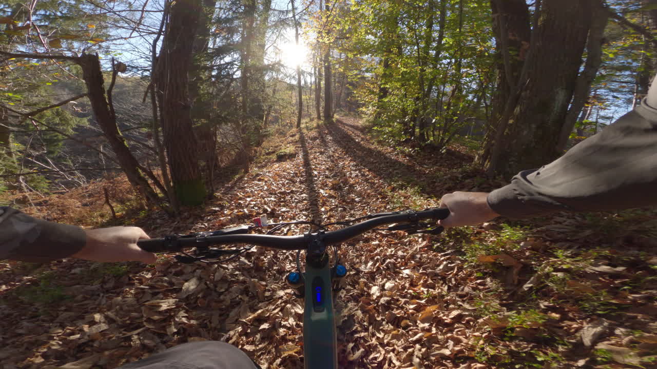 Mountain Biking Through Autumn Forest Trail