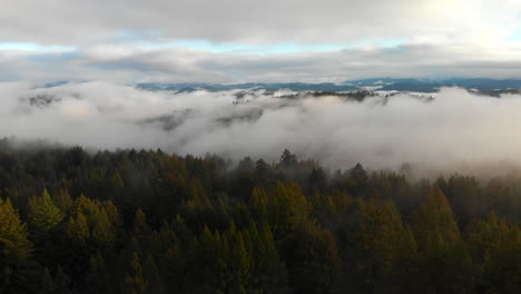 Misty-woods-aerial-shot-with-a-slight-push-in-turn-left