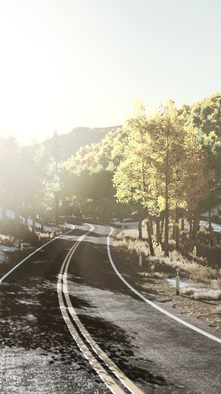 가을에 노란 잎이 있는 숲을 가로질러 휘어지는 도로