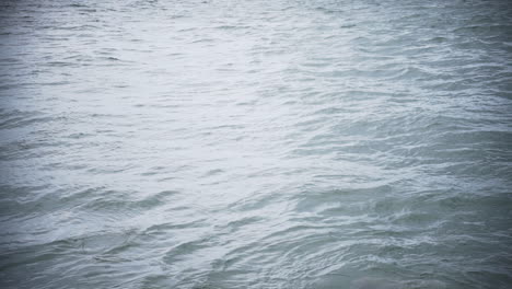 Mother-and-cub-river-dolphin-breathing-outside-water,-wide-angle,-Brazil