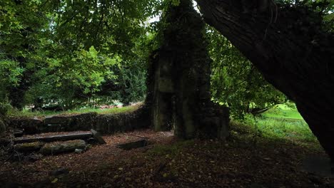 exploring the mysterious overgrown ruins in a dark forest
