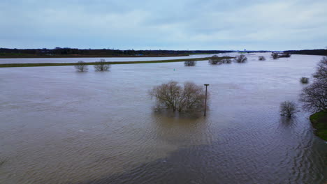 some still visible treetops after the meuse has flowed out of its banks