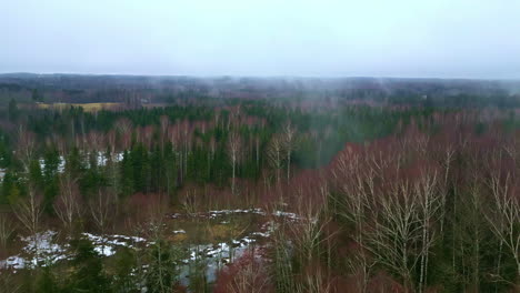 Rauch-Steigt-Im-Frühjahr-Während-Des-Ukraine-Konflikts-Aus-Dem-Wald-Auf,-Luftaufnahme