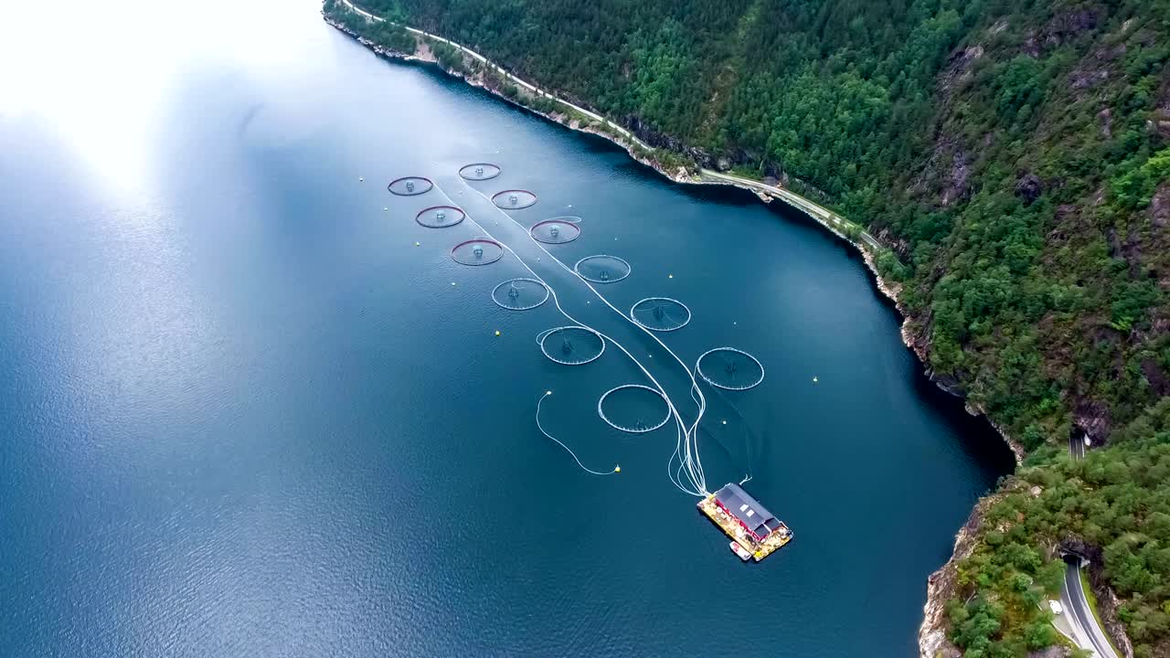노르웨이에서 연어  ⁇ 시를 하는 공중 촬영
