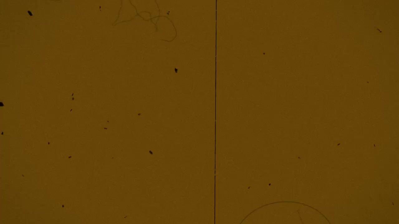 Vintage Film Grain Overlay with Dust and Scratches