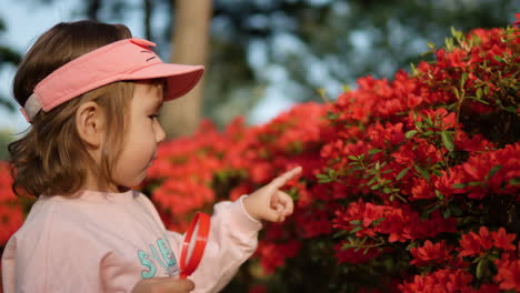 little girl holding a magnifying glass while touching the red flowes of azalea in the park