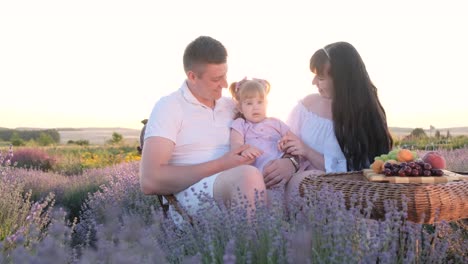 family picnic in a lavender field at sunset