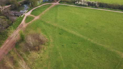 4K-willow-cathedral-live-sculpture-made-of-willow-trees-in-Taunton-Somerset,-60fps-drone-moving-backwards-over-the-tree-cathedral