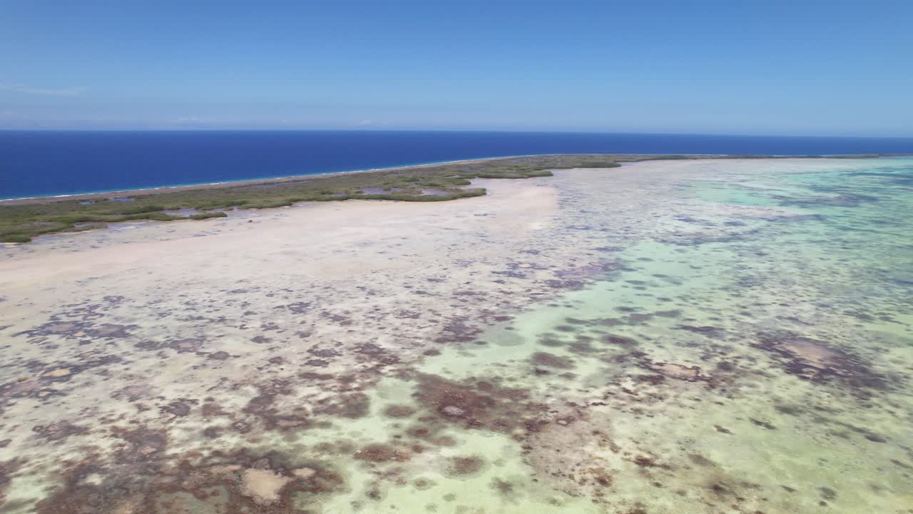 The vibrant east barrier reef under clear blue skies, with lush island edge, aerial view
