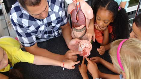 High-angle-view-of-Caucasian-male-teacher-explaining-human-brain-model-in-the-classroom--4k