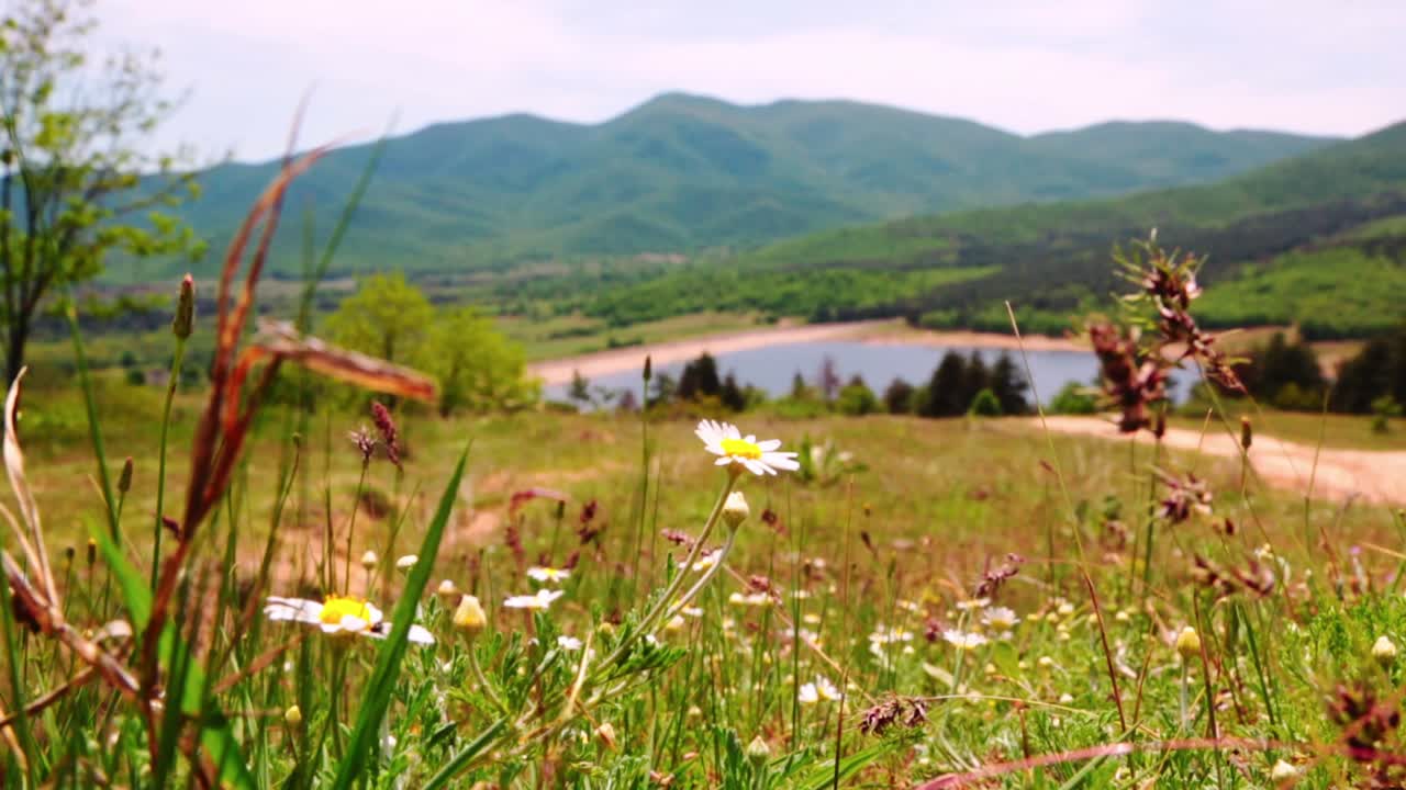 Landscape with lake and mountains on a sunny day