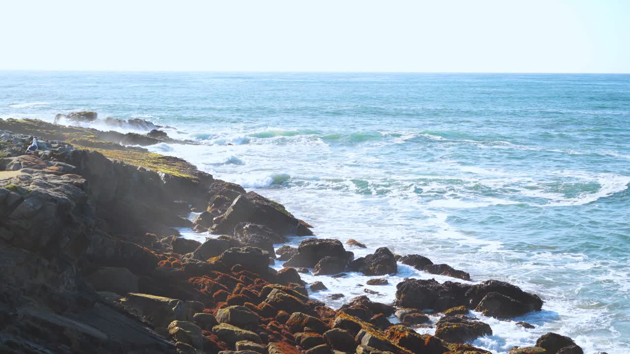 Spiaggia statale di Pescadero e scogliere numero venti
