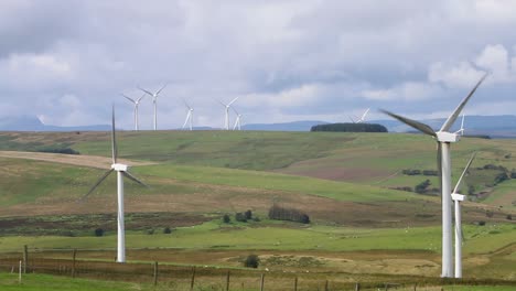 Aerogeneradores-Y-Ovejas.-Powys.-Gales.-Reino-Unido