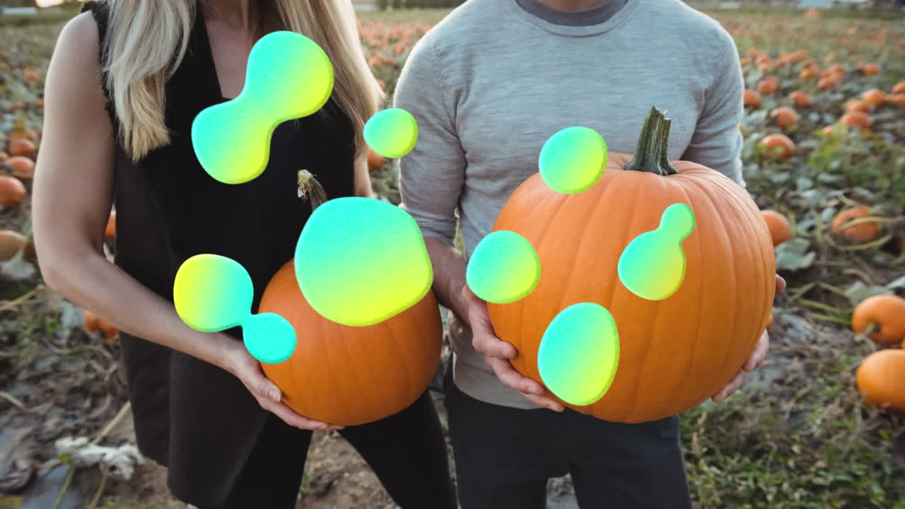animación de burbujas brillantes sobre un hombre y una mujer que sostienen calabazas en un campo de calabazas