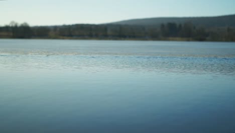 lake - smooth flowing water