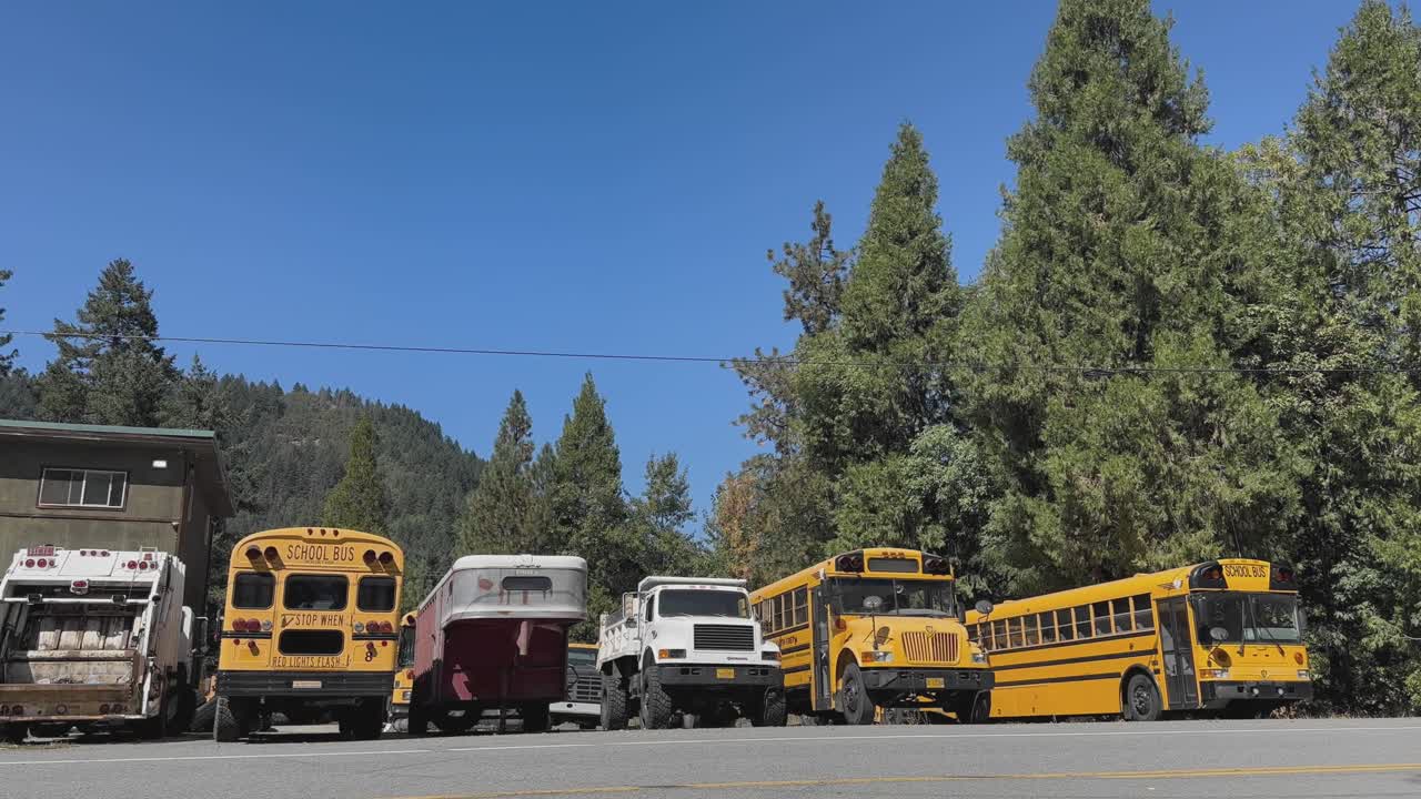 una fila de autobuses, camiones, remolques y árboles de coníferas en oregon