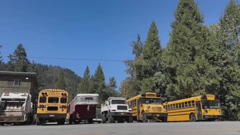 A-row-of-buses,-trucks,-trailers,-and-conifer-trees-in-Oregon