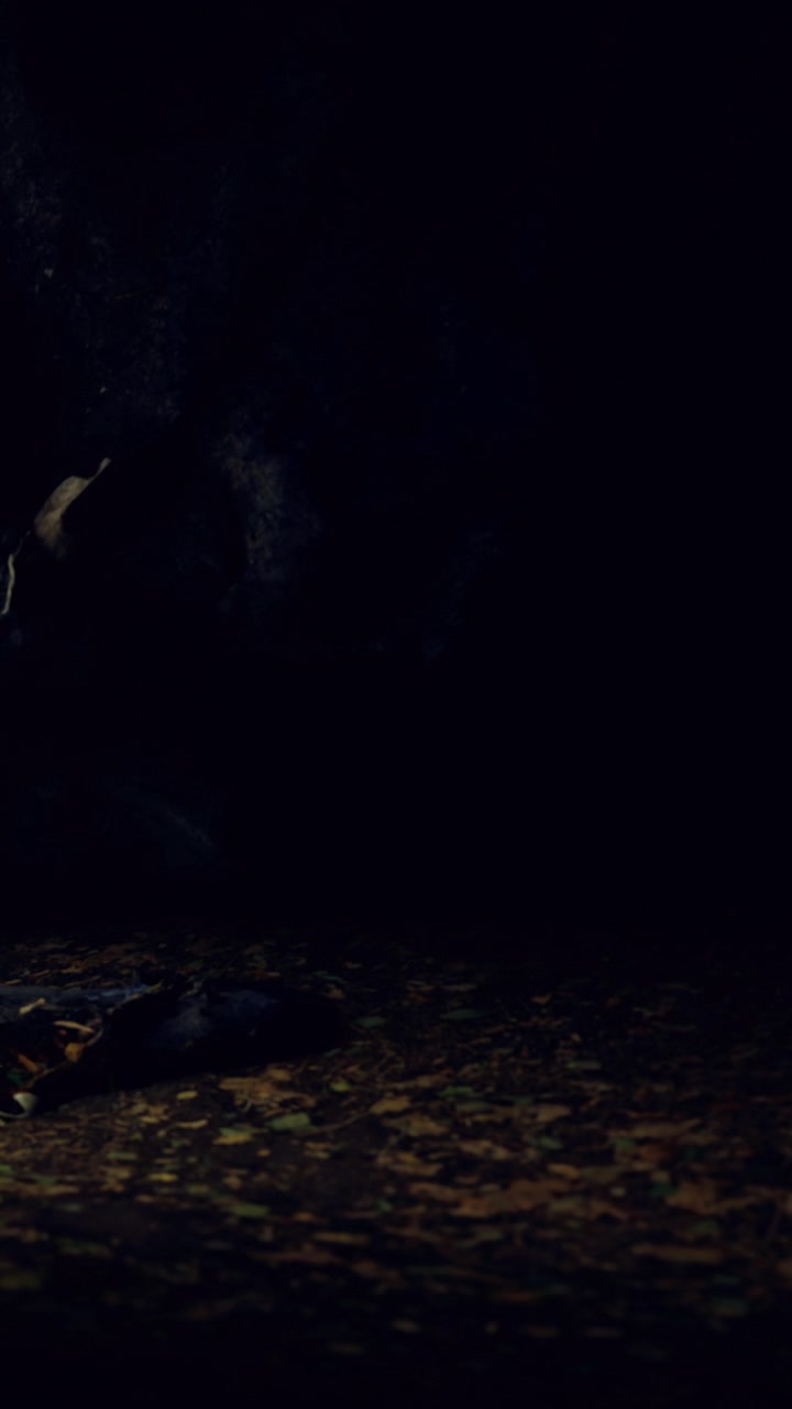 Person walking on a leaf covered path in a dark forest at night