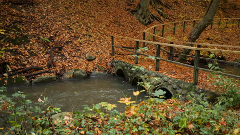 秋季森林公園的橋<unk>