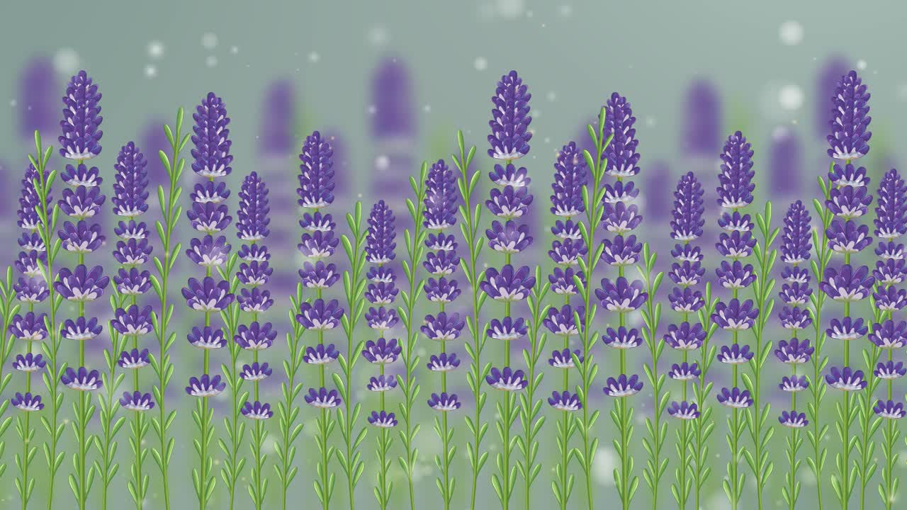 Lavender flowers sway gently as snowflakes fall, creating a serene and calming animation with a soft color palette