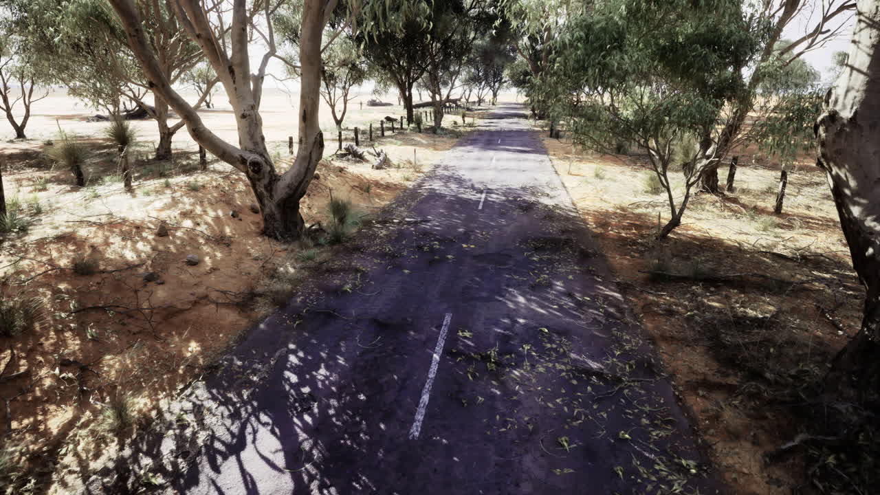 Deserted road surrounded by trees on a sunny day in the countryside