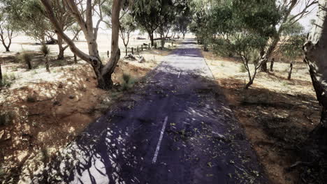 deserted road surrounded by trees on a sunny day in the countryside